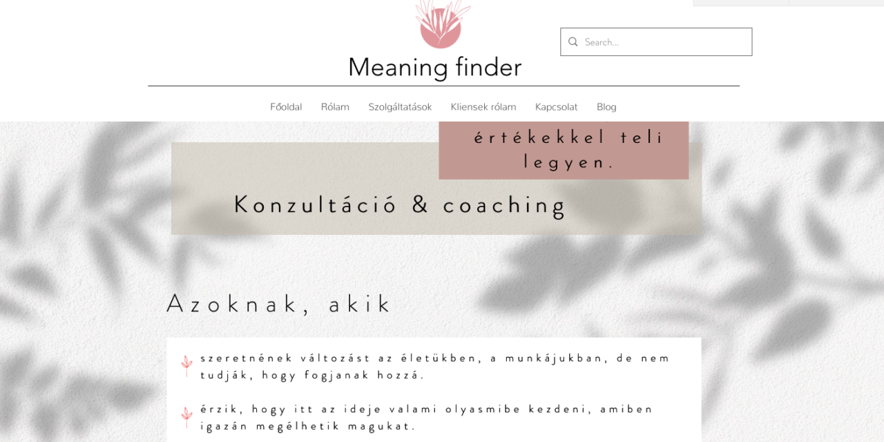 Meaningfinder.com – Csarnó Nelli online pszichológus, karrier tanácsadás online